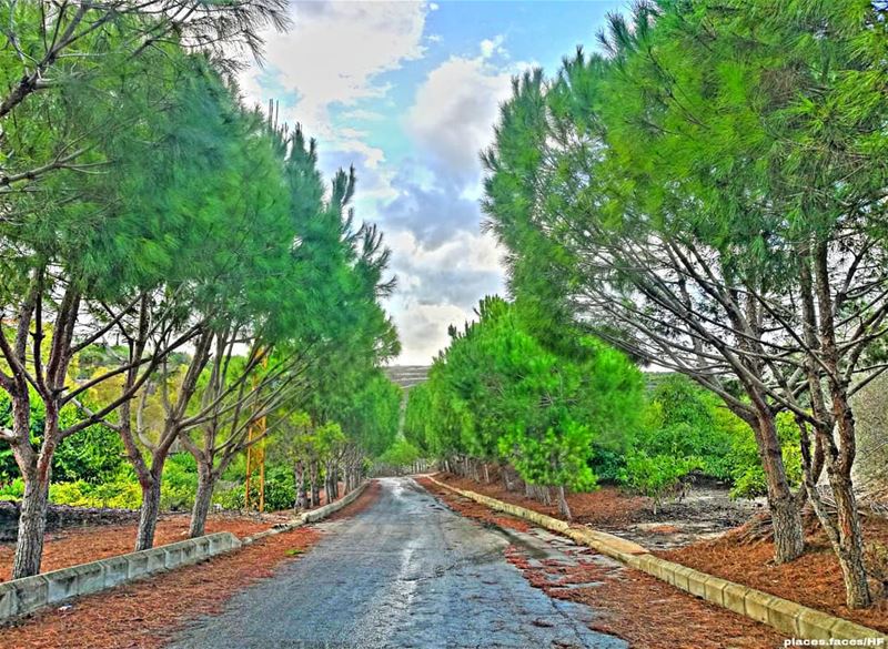 صباح الخير 🍂🍂🍃🌿⁦☘️⁩ photo by @hussein.fwz 📷 landscape  amazing ... (Ghassâniye, Al Janub, Lebanon)