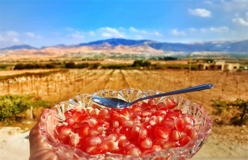 صباح  الرمان من  سهل_البقاع ❤ lebanon  bekaa  baalback  nature  sky ...