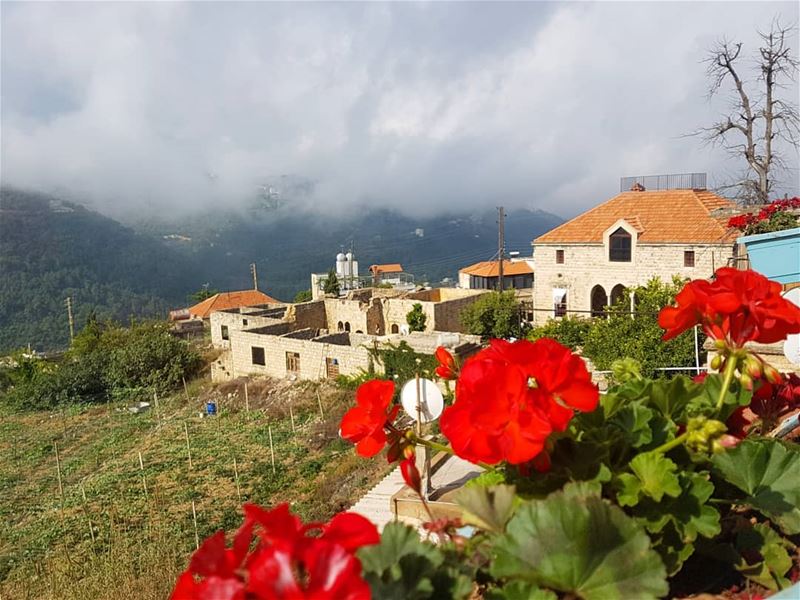 صباحووو ig_respect  ig_lebanon  instaamici  insta_lebanon  lebanonhouses...