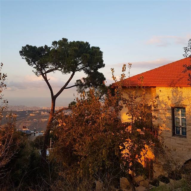 صباحووووو ig_respect  ig_lebanon  insta_lebanon  instaamici  ptk_nature ... (Souk El Gharb)