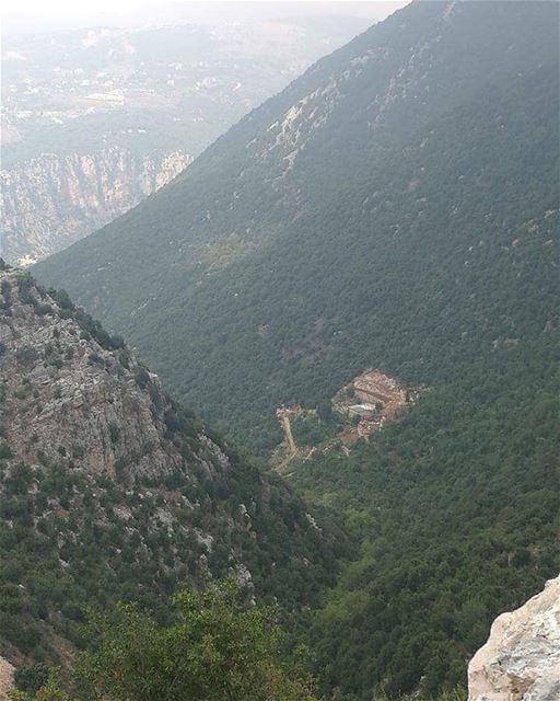 صدر عن جمعية حماية جبل موسى البيان التاليتشكر جمعية حماية جبل موسى جميع من (Jabal Moussa Biosphere Reserve)