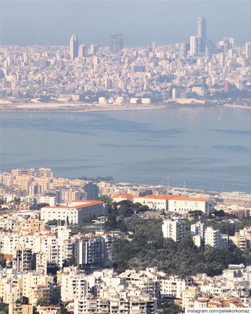 صورة لدير ومدرسة سيدة اللويزة (Zouk Mosbeh)