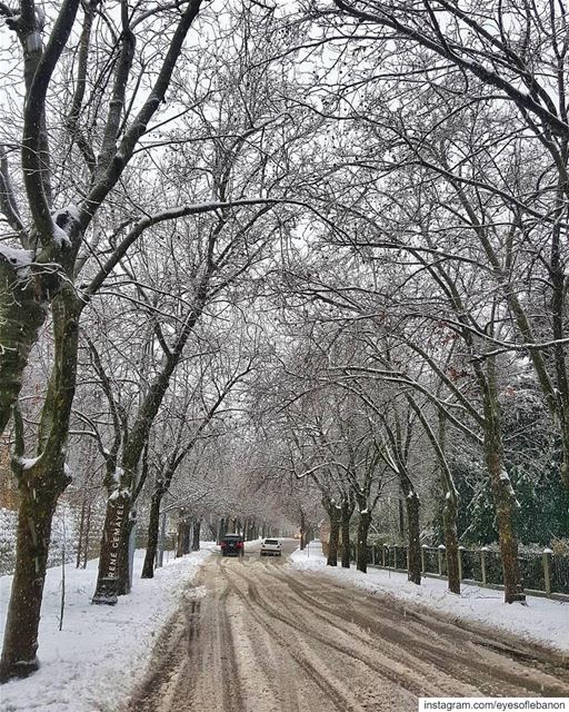 صوفر بعد العاصفة 😍📷 by @rene_gemayel .... LebanonTimes  ig_lebanon ... (Sawfar, Mont-Liban, Lebanon)