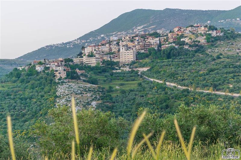 صياما مقبولا و افطارا شهيا من  حومين_الفوقا  landscape ... (Hoûmîne El Faouqa, Al Janub, Lebanon)