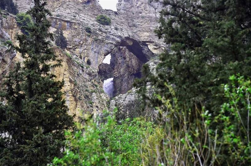 طبيعة  لبنان الخلابة (📸"لبنان 24")  Lebanon  mountains   insta_lebanon ...