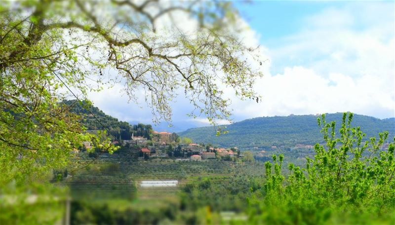 ظن ان السعادة في عينيها الخضراوين ولكن ساذجتهما جذبت قلباً امرضته العقد...... (El-Mukhtarah, Mont-Liban, Lebanon)