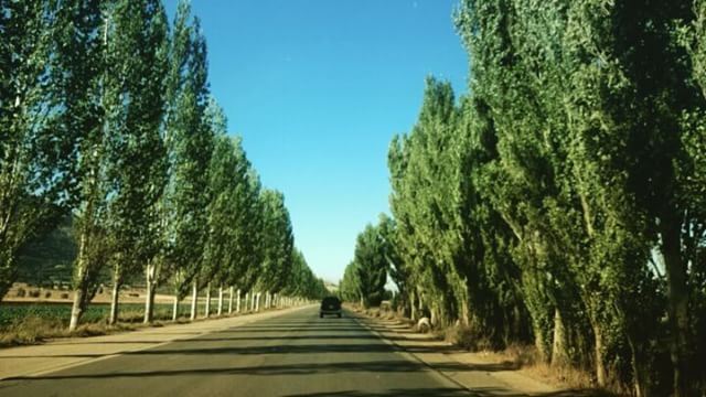 ..😜ع "بيروت"..اجر لقدام واجر لورا  livelovebekaa  boomerang  bekaavalley... (West Bekaa)