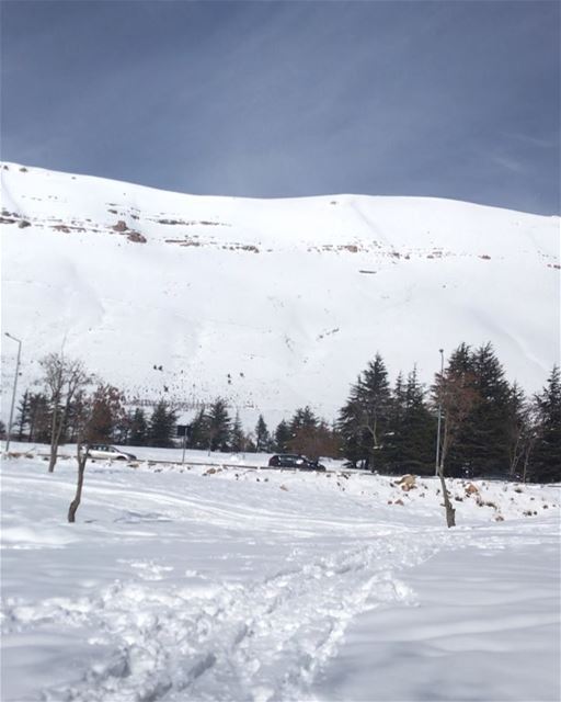 عإسمك غنّيت 🇱🇧🙏🏻🌲💚________________________________________... (ارز لبنان)