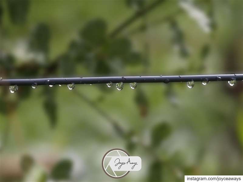 عالسكت...💧💧💧💧💧 droplets  waterdroplets  macrophotography ... (Chemlane, Mont-Liban, Lebanon)