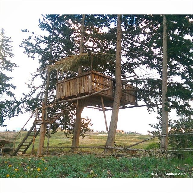  عرزال tree  house  treehouse  amazing  my  village  south_lebanon ...