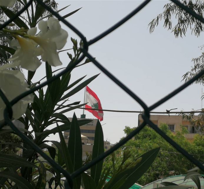 🇱🇧علمك رح يضل عالي يالبنان الغالي🇱🇧  lebanon  livelovelebanon ... (Mar Mikhael-Armenia The Street)