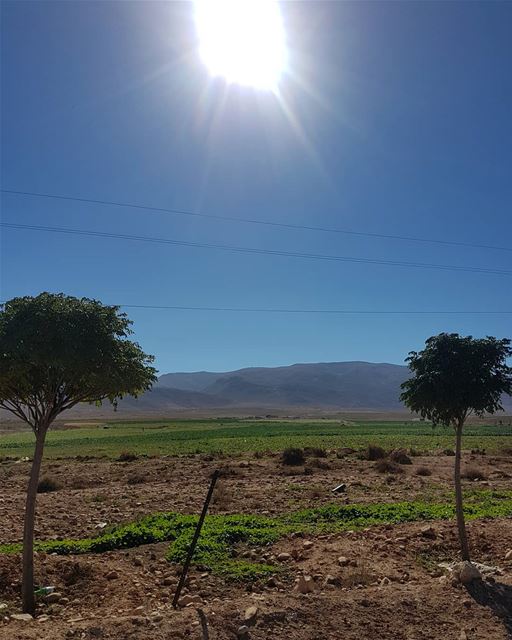 عليكم بالقناعة والصبر ، فالحياة ليست منصفة دائماً. - نجيب محفوظ...