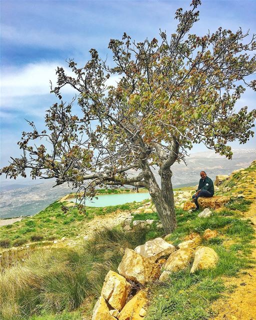  عمّو 🌿🏞 livelovelebanon  beautifulplace  beautifulnature  hiking ... (Falougha, Mont-Liban, Lebanon)