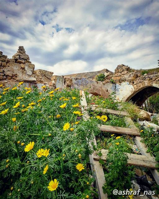 عن أيّ ربيع بغني عن أيّ ربيع بقولهالناس يلي عم تسقط هنّ أبريا ومين المسؤول (Tyre, Lebanon)