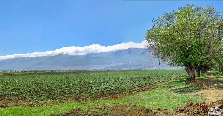 عندما تعانق الغيوم جبال لبنان  ammiq  ammiqreserve  lebanon ...