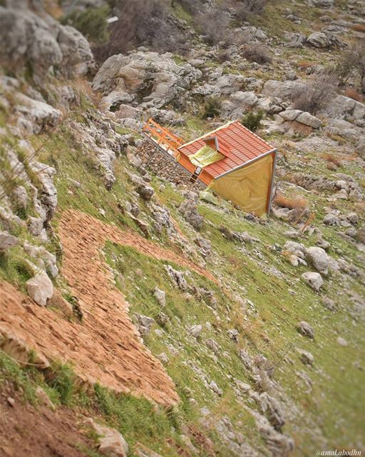 عندما لا يمتلك المرء شيئا ليخسره يصبح شجاعا 👌 lebanon  photography ... (Bâloûaa Balaa)