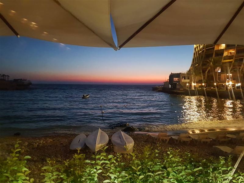 عندما يأتي الغروب...... (املأ الفراغ بالكلمة المناسبة)  ig_lebanon ...