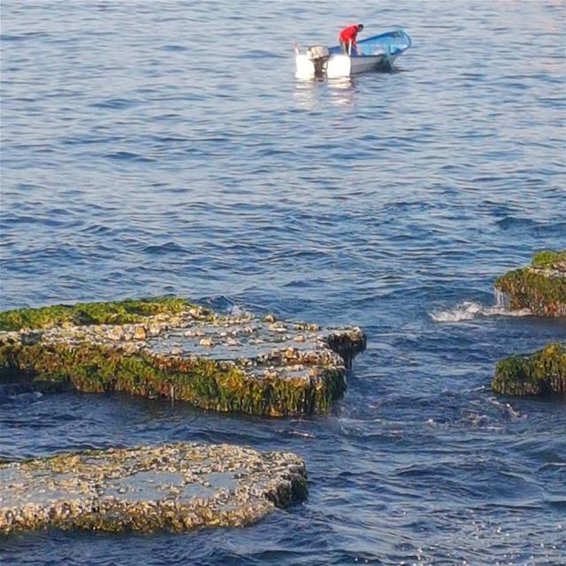 عيناكِ , أحلم أن أرى عينيك يوماً تنعسان , فأرى هدوء البحر عند شروق شمس. - م