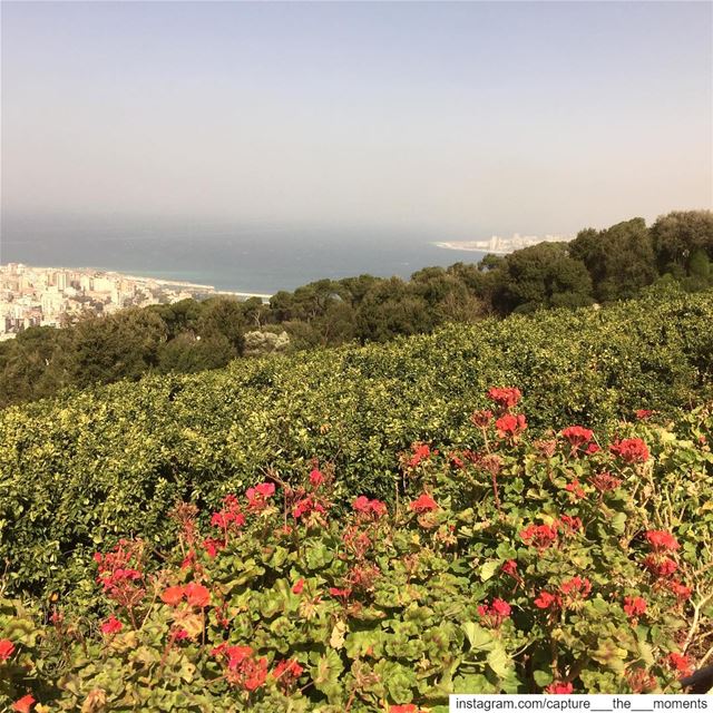 عينة عن لبنان الجميل 😍 A glimpse of the beautiful Lebanon 🇱🇧  nature ... (Bkerké)