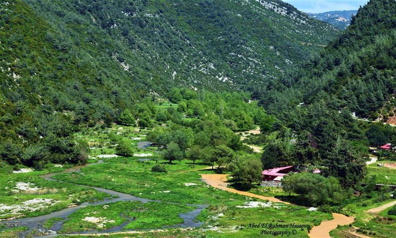 عيون السمك 💚💚💚  LiveLoveMinieh  LiveLoveWaterfalls  Waterfall  ... (Ouyoun El Samak Waterfalls)