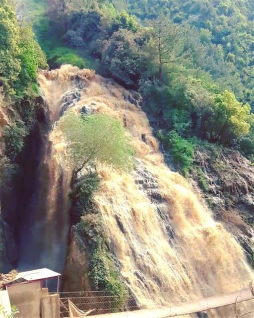 عيون السمك  طبيعة  لبنان  شلال  LiveLoveMinieh  LiveLoveWaterfalls ... (Ouyoun El Samak Waterfalls)