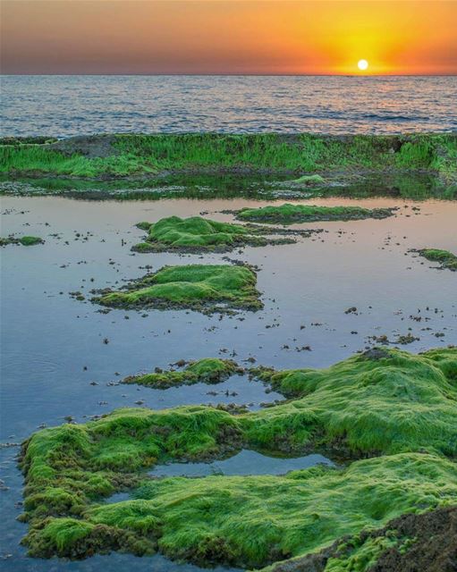 غروب من شاطئ البترون  sunsetlebanon  sunset  batroun  sea  rocks ...