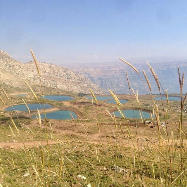 غود مورنينغ insta_lebanon  ig_lebanon  proudlylebanese ... (Akoura, Mont-Liban, Lebanon)