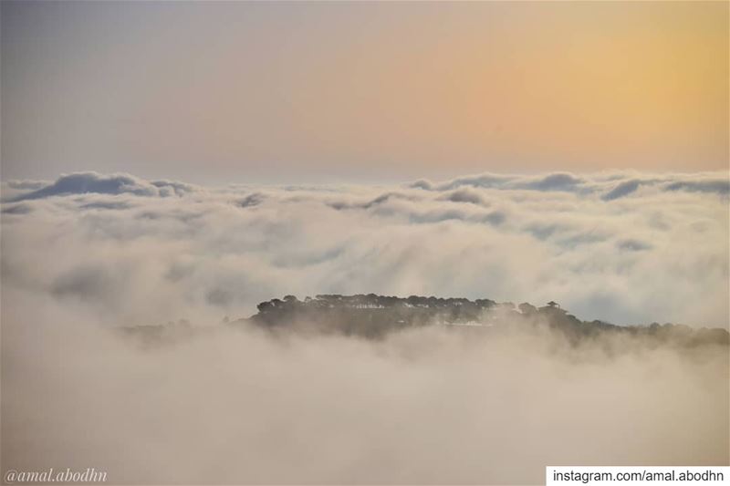 غُروب...👌 ..... lebanon  photography  photographylovers ... (نيحا)