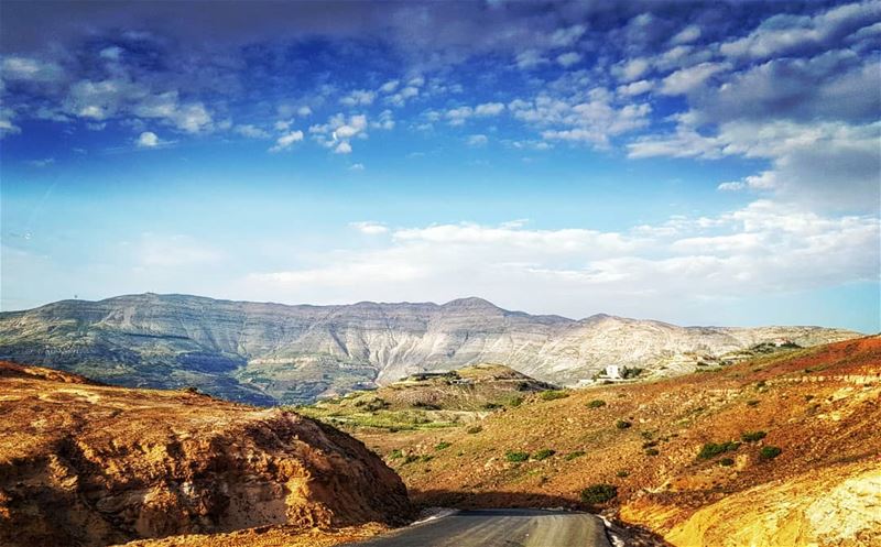 فازرع طريقك بالورود وبالسنا لا يحصد الانسان ان لم يزرع ايليا ابو ماضي ▪▪▪ (Sannin, Mont-Liban, Lebanon)