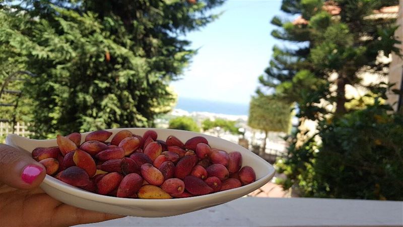  فستق_حلبي_اخضر  lebanontimes  insta_lebanon  livelovelebanon ... (Ghaziyé, Al Janub, Lebanon)