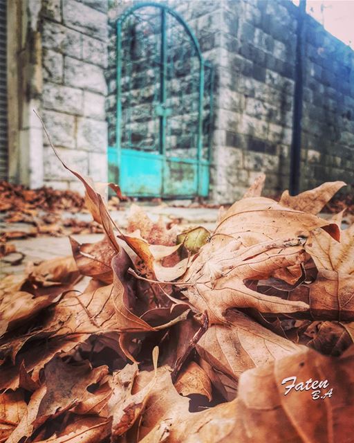 فسقط الحب كأوراق الخريف في ذلك النهار... 👉Follow and Tag👈➡@instaamici➡@ (Corniche Sawfar)