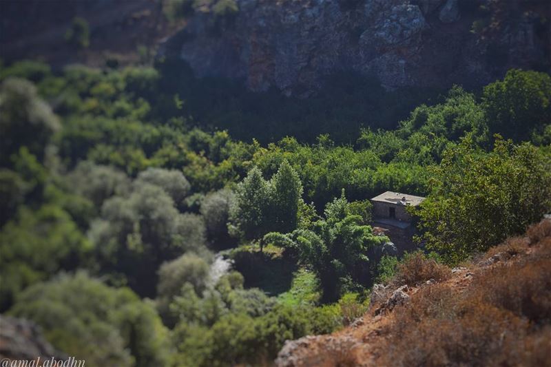 في هذه الدنيا كل شئ يتغير إلا الفقر و الفقراء، الفقر يبقى فقراً والفقراء يز (Litani River)