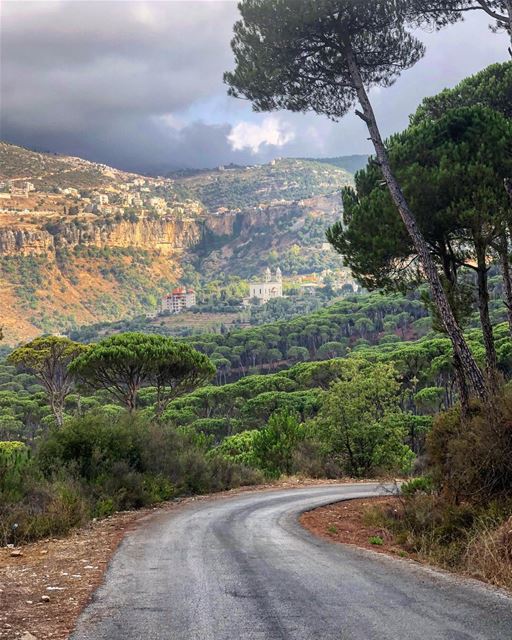  في_بلادي غابة الصنوبر في بكاسين الاكبر في الشرق الاوسط .. من هنا سلام ... (Bkâssîne, Al Janub, Lebanon)