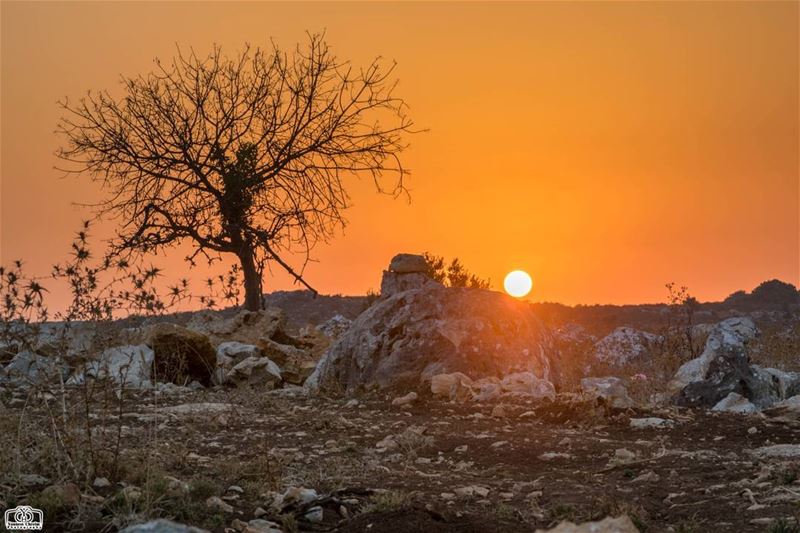 قبلة وداع على جبين صخرة ... sun  sunset  sunsetlebanon  sunsetnabatieh ...