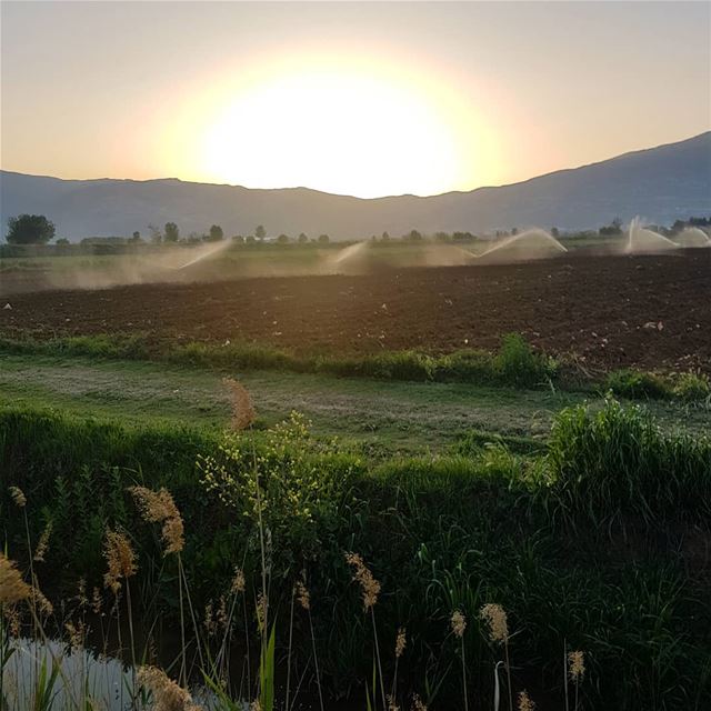 قل للغياب نقصتني وأنا أتيت لأكملك-محمود درويش  ig_respect  ig_lebanon ... (Lebanon Bekaa kab Elias)