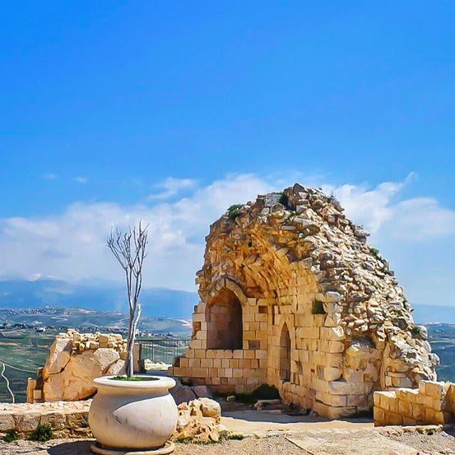 قلبُ الجنوب ينبض رجاءً في كلّ غصن زيتون صمَدَ ليزرع السلام وكلّ حجر ثَبُتَ... (Arnoûn, Al Janub, Lebanon)