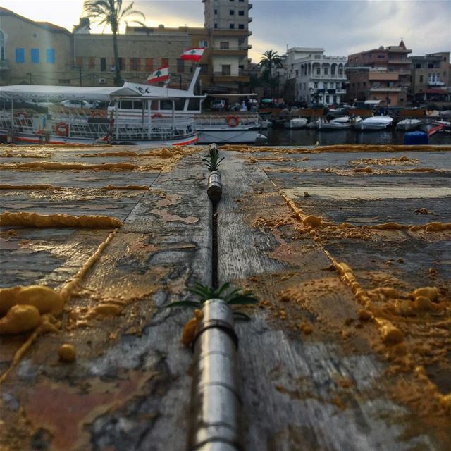 قولك في أمل؟؟🌱 life  light  lebanon  lebanon_hdr  lebanonmania ... (Tyre Fishermen Port.)