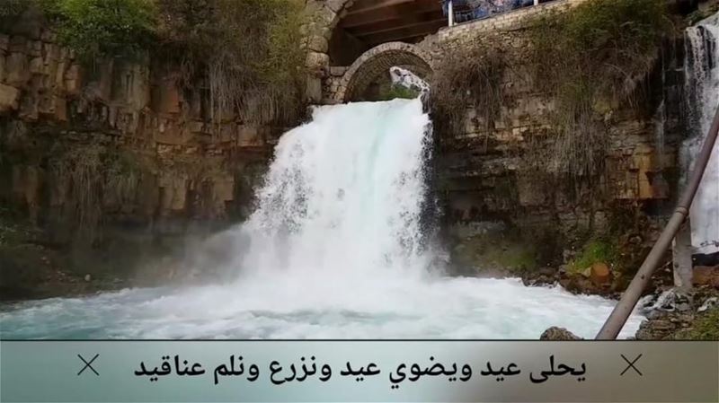 قُفوا قليلاً وانظروا؛ لِأُريكُم لُبناني 💙.. lebanon  waterfall  snow ... (Mount Lebanon Governorate)