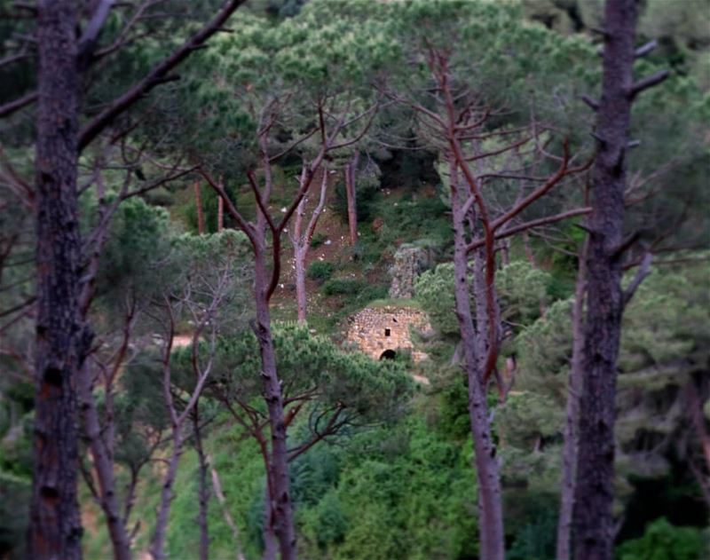 كان عنّا طاحون عنبع الميّ قدّامو  ساحات مزروعة فيّ (Beït Chabâb, Mont-Liban, Lebanon)