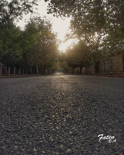 كل شيء يكافح للبقاء... حتى الأحلام تأبى ان تكون حقيقة 👉Follow and Tag👈➡@ (Corniche Sawfar)