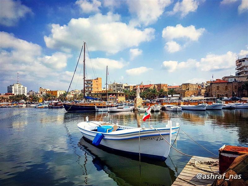 كل يوم بقلك صباح الخيريا وطني اللي طاير ع جناح الطير livelovetyre ... (Tyre, Lebanon)