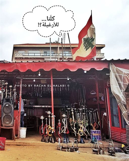 🇱🇧  كل_البلد_عم_بهرغل  هرغل_البلد Photo By Racha El Halabi © (El Mina)