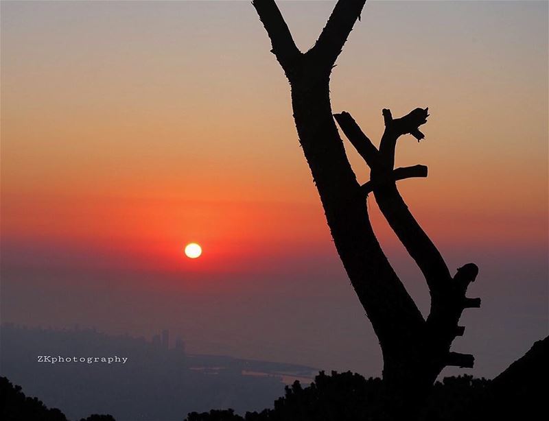 كلُّ قصيدةٍ هي بدايةُ الشعركلُّ حبٍّ هو بدايةُ السماء.تَجذري فيّ أنا ال (Broummâna, Mont-Liban, Lebanon)