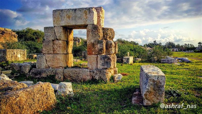 كما ينبت العشب بين مفاصل صخرةوجدنا غريبين معاًو كانت سماء الربيع... تؤلف... (Roman ruins in Tyre)