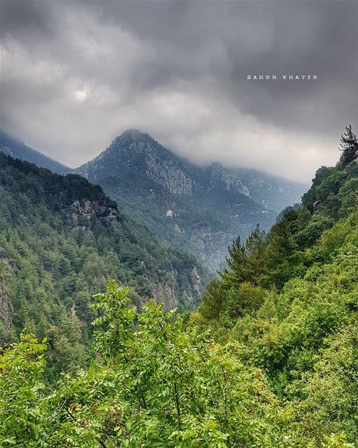 كما ينبت العشب بين مفاصل صخرةوجدنا غريبين معاًو كانت سماء الربيع تؤلف نجم (Chouène, Mont-Liban, Lebanon)