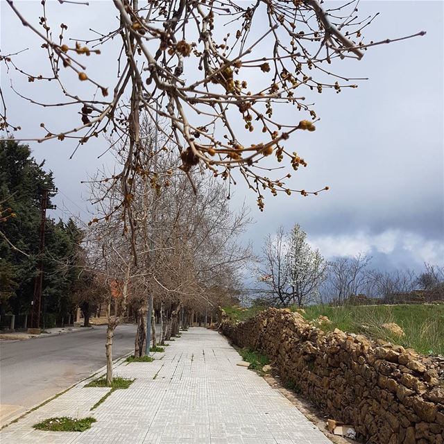 كن صبوراً .. إلى متى ؟ إلى الأبد. - محمود درويش   ig_lebanon ...