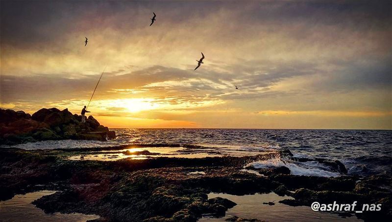 كنا تودعنا وصوتك غابوناداني العمر الفانيولما عا حالي سكرت البابلاقيتك بي (Tyre, Lebanon)