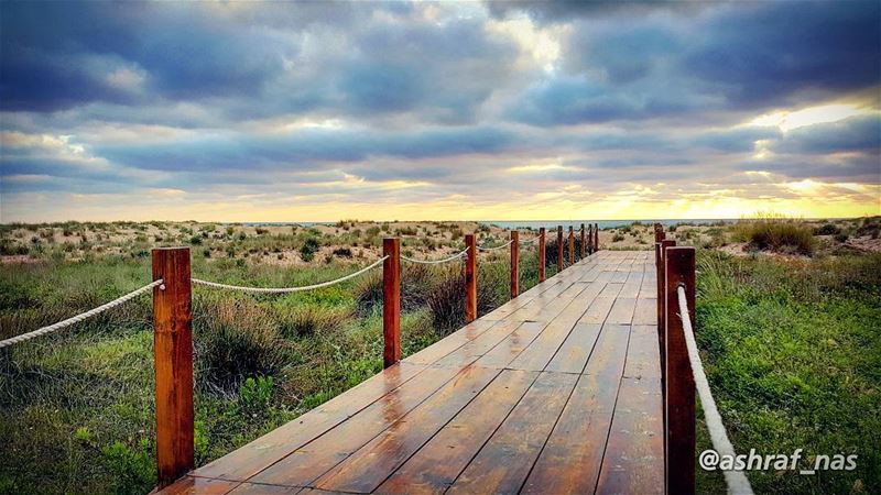 كنا نتلاقى من عشيةونقعد على الجسر العتيق...وتنزل على السهل الضبابةتمحي ا (Tyre Coast Nature Reserve - محمية شاطئ صور الطبيعية)