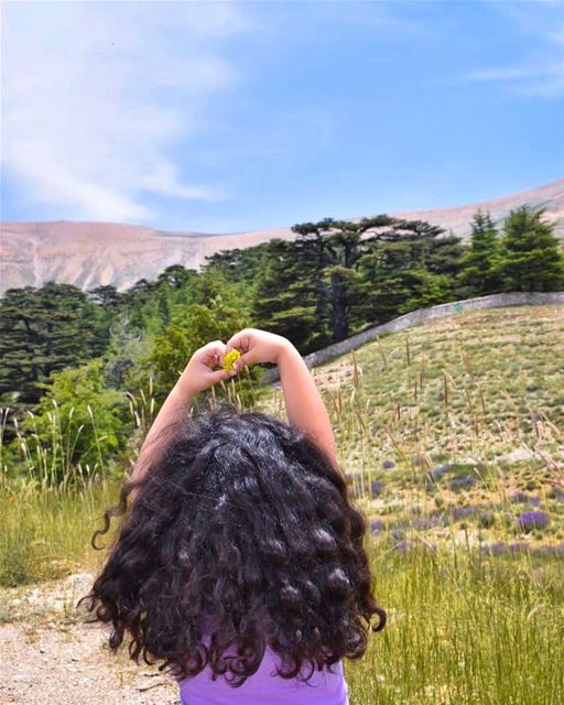  كيف_ما_كنت_بحبك 🇱🇧❤️🌲🔆________________________________________... (The Cedars of Lebanon)