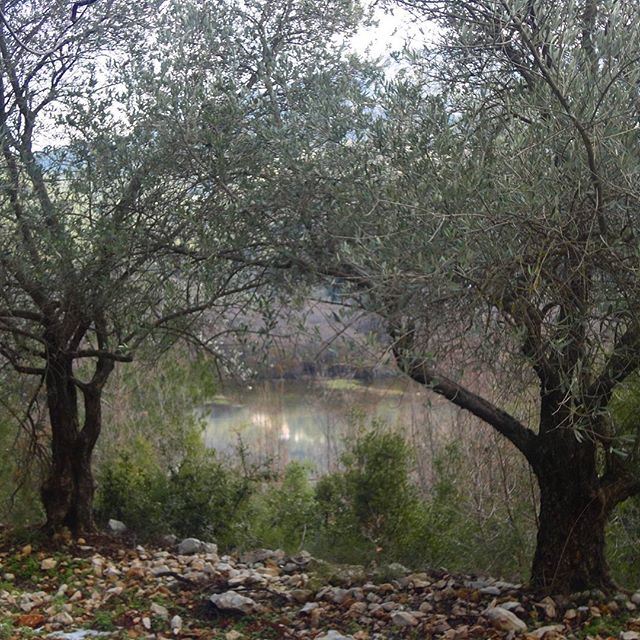 لا تخافي فعروس الجن فب كهفها المسحور (Hardîne, Liban-Nord, Lebanon)